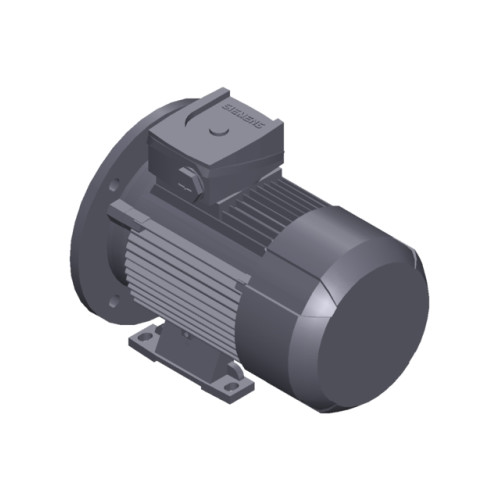 SIMOTICS GP MOTOR TYPE: 1AV3082A Low-voltage motor, IEC Squirrel-cage rotor, self-ventilated, IP55 T