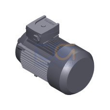 SIMOTICS GP MOTOR TYPE: 1AV3082A Low-voltage motor, IEC Squirrel-cage rotor, self-ventilated, IP55 T