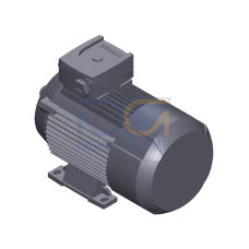 SIMOTICS GP MOTOR TYPE: 1AV3082A Low-voltage motor, IEC Squirrel-cage rotor, self-ventilated, IP55 T
