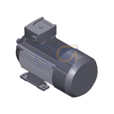 SIMOTICS GP MOTOR TYPE: 1AV3083A Low-voltage motor, IEC Squirrel-cage rotor, self-ventilated, IP55 T