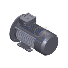SIMOTICS GP MOTOR TYPE: 1AV3083A Low-voltage motor, IEC Squirrel-cage rotor, self-ventilated, IP55 T