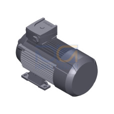 SIMOTICS GP MOTOR TYPE: 1AV3083A Low-voltage motor, IEC Squirrel-cage rotor, self-ventilated, IP55 T