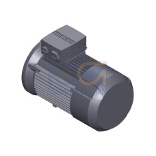 SIMOTICS GP MOTOR TYPE: 1AV3082B Low-voltage motor, IEC Squirrel-cage rotor, self-ventilated, IP55 T