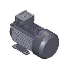 SIMOTICS GP MOTOR TYPE: 1AV3083B Low-voltage motor, IEC Squirrel-cage rotor, self-ventilated, IP55 T