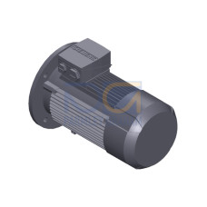 SIMOTICS GP MOTOR TYPE: 1AV3083B Low-voltage motor, IEC Squirrel-cage rotor, self-ventilated, IP55 T