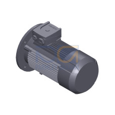 SIMOTICS GP MOTOR TYPE: 1AV3083B Low-voltage motor, IEC Squirrel-cage rotor, self-ventilated, IP55 T