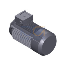 SIMOTICS GP MOTOR TYPE: 1AV3083B Low-voltage motor, IEC Squirrel-cage rotor, self-ventilated, IP55 T