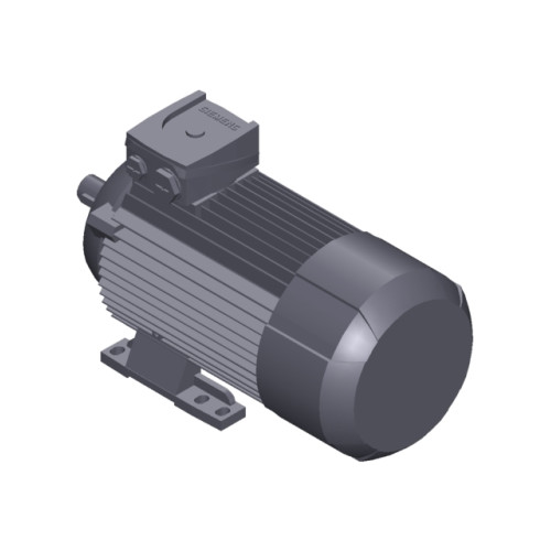 SIMOTICS GP MOTOR TYPE: 1AV3094A Low-voltage motor, IEC Squirrel-cage rotor, self-ventilated, IP55 T