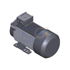 SIMOTICS GP MOTOR TYPE: 1AV3094A Low-voltage motor, IEC Squirrel-cage rotor, self-ventilated, IP55 T