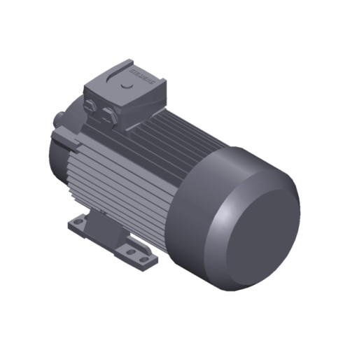SIMOTICS GP MOTOR TYPE: 1AV3094A Low-voltage motor, IEC Squirrel-cage rotor, self-ventilated, IP55 T