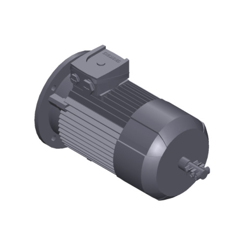 SIMOTICS GP MOTOR TYPE: 1AV3090B Low-voltage motor, IEC Squirrel-cage rotor, self-ventilated, IP55 T