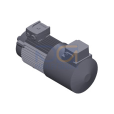 SIMOTICS GP MOTOR TYPE: 1AV3090B Low-voltage motor, IEC Squirrel-cage rotor, self-ventilated, IP55 T
