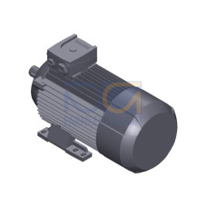 SIMOTICS GP MOTOR TYPE: 1AV3094B Low-voltage motor, IEC Squirrel-cage rotor, self-ventilated, IP55 T