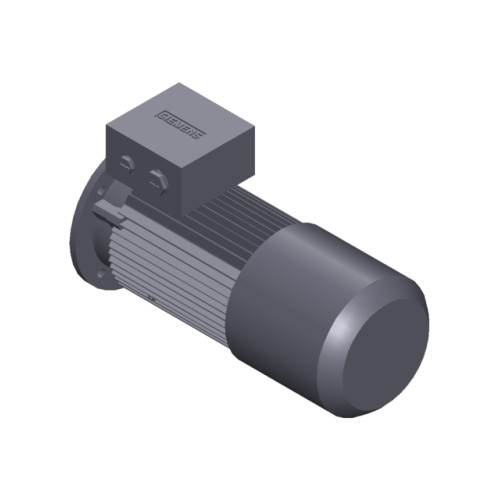 SIMOTICS GP MOTOR TYPE: 1AV3094B Low-voltage motor, IEC Squirrel-cage rotor, self-ventilated, IP55 T