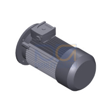 SIMOTICS GP MOTOR TYPE: 1AV3094B Low-voltage motor, IEC Squirrel-cage rotor, self-ventilated, IP55 T