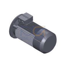 SIMOTICS GP MOTOR TYPE: 1AV3094B Low-voltage motor, IEC Squirrel-cage rotor, self-ventilated, IP55 T