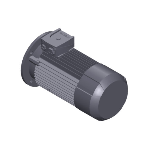 SIMOTICS GP MOTOR TYPE: 1AV3094B Low-voltage motor, IEC Squirrel-cage rotor, self-ventilated, IP55 T