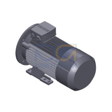 SIMOTICS GP MOTOR TYPE: 1AV3094B Low-voltage motor, IEC Squirrel-cage rotor, self-ventilated, IP55 T