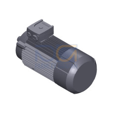 SIMOTICS GP MOTOR TYPE: 1AV3094B Low-voltage motor, IEC Squirrel-cage rotor, self-ventilated, IP55 T