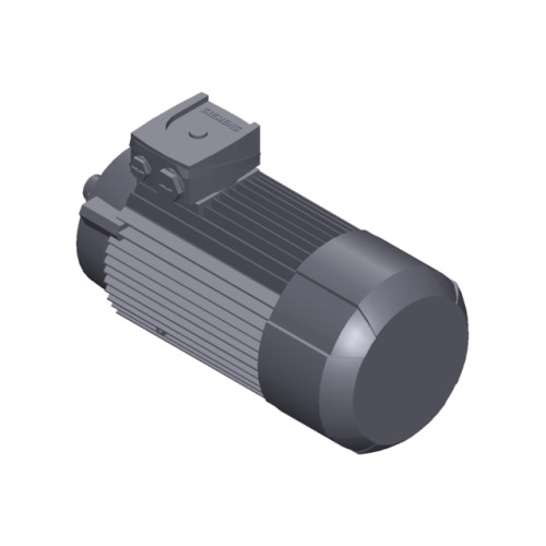 SIMOTICS GP MOTOR TYPE: 1AV3094B Low-voltage motor, IEC Squirrel-cage rotor, self-ventilated, IP55 T