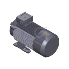 SIMOTICS GP MOTOR TYPE: 1AV3094B Low-voltage motor, IEC Squirrel-cage rotor, self-ventilated, IP55 T
