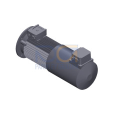 SIMOTICS GP MOTOR TYPE: 1AV3094B Low-voltage motor, IEC Squirrel-cage rotor, self-ventilated, IP55 T