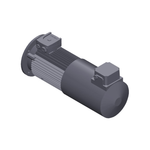 SIMOTICS GP MOTOR TYPE: 1AV3094B Low-voltage motor, IEC Squirrel-cage rotor, self-ventilated, IP55 T