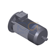 SIMOTICS GP MOTOR TYPE: 1AV3094B Low-voltage motor, IEC Squirrel-cage rotor, self-ventilated, IP55 T