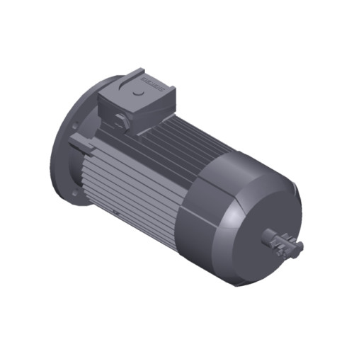 SIMOTICS GP MOTOR TYPE: 1AV3094B Low-voltage motor, IEC Squirrel-cage rotor, self-ventilated, IP55 T