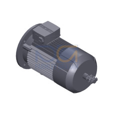 SIMOTICS GP MOTOR TYPE: 1AV3090C Low-voltage motor, IEC Squirrel-cage rotor, self-ventilated, IP55 T