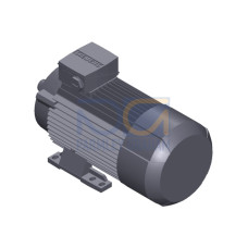 SIMOTICS GP MOTOR TYPE: 1AV3094C Low-voltage motor, IEC Squirrel-cage rotor, self-ventilated, IP55 T