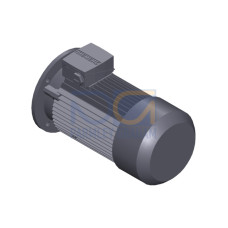 SIMOTICS GP MOTOR TYPE: 1AV3094C Low-voltage motor, IEC Squirrel-cage rotor, self-ventilated, IP55 T