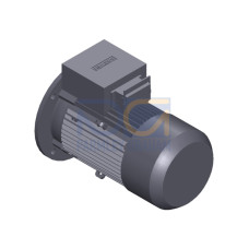 SIMOTICS GP MOTOR TYPE: 1AV3104A Low-voltage motor, IEC Squirrel-cage rotor, self-ventilated, IP55 T