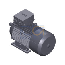 SIMOTICS GP MOTOR TYPE: 1AV3104A Low-voltage motor, IEC Squirrel-cage rotor, self-ventilated, IP55 T