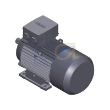 SIMOTICS GP MOTOR TYPE: 1AV3104B Low-voltage motor, IEC Squirrel-cage rotor, self-ventilated, IP55 T