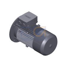 SIMOTICS GP MOTOR TYPE: 1AV3104B Low-voltage motor, IEC Squirrel-cage rotor, self-ventilated, IP55 T