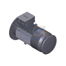 SIMOTICS GP MOTOR TYPE: 1AV3104B Low-voltage motor, IEC Squirrel-cage rotor, self-ventilated, IP55 T