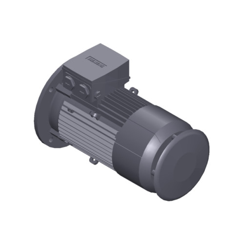 SIMOTICS GP MOTOR TYPE: 1AV3104B Low-voltage motor, IEC Squirrel-cage rotor, self-ventilated, IP55 T