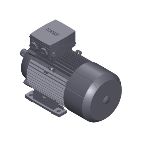 SIMOTICS GP MOTOR TYPE: 1AV3105B Low-voltage motor, IEC Squirrel-cage rotor, self-ventilated, IP55 T