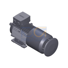 SIMOTICS GP MOTOR TYPE: 1AV3105B Low-voltage motor, IEC Squirrel-cage rotor, self-ventilated, IP55 T