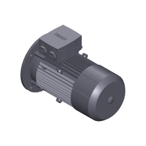 SIMOTICS GP MOTOR TYPE: 1AV3105B Low-voltage motor, IEC Squirrel-cage rotor, self-ventilated, IP55 T
