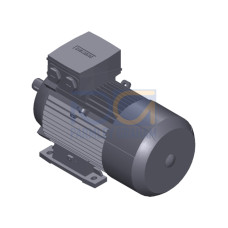 SIMOTICS GP MOTOR TYPE: 1AV3104C Low-voltage motor, IEC Squirrel-cage rotor, self-ventilated, IP55 T