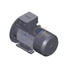 SIMOTICS GP MOTOR TYPE: 1AV3104C Low-voltage motor, IEC Squirrel-cage rotor, self-ventilated, IP55 T