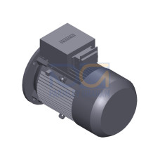 SIMOTICS GP MOTOR TYPE: 1AV3112B Low-voltage motor, IEC Squirrel-cage rotor, self-ventilated, IP55 T
