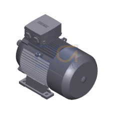 SIMOTICS GP MOTOR TYPE: 1AV3112B Low-voltage motor, IEC Squirrel-cage rotor, self-ventilated, IP55 T