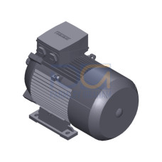 SIMOTICS GP MOTOR TYPE: 1AV3112C Low-voltage motor, IEC Squirrel-cage rotor, self-ventilated, IP55 T