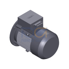 SIMOTICS GP MOTOR TYPE: 1AV3130A Low-voltage motor, IEC Squirrel-cage rotor, self-ventilated, IP55 T