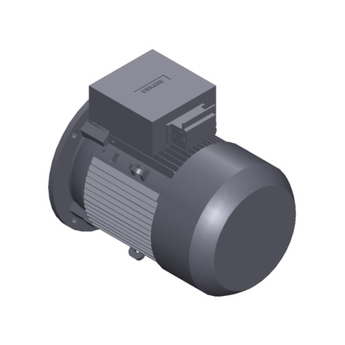 SIMOTICS GP MOTOR TYPE: 1AV3130A Low-voltage motor, IEC Squirrel-cage rotor, self-ventilated, IP55 T