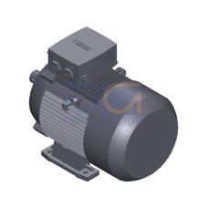 SIMOTICS GP MOTOR TYPE: 1AV3130A Low-voltage motor, IEC Squirrel-cage rotor, self-ventilated, IP55 T