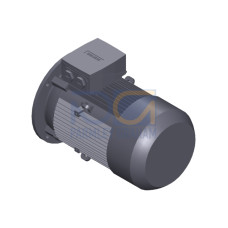 SIMOTICS GP MOTOR TYPE: 1AV3131A Low-voltage motor, IEC Squirrel-cage rotor, self-ventilated, IP55 T